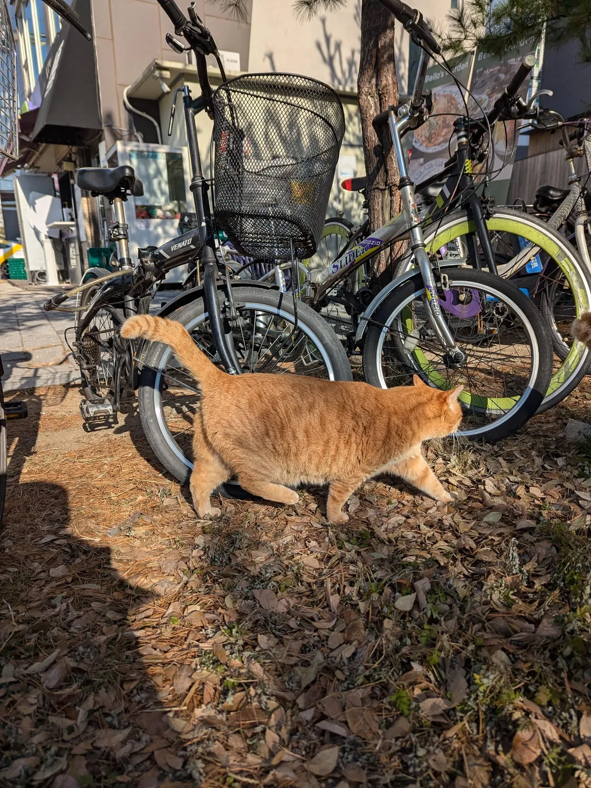 Winter in South Korea