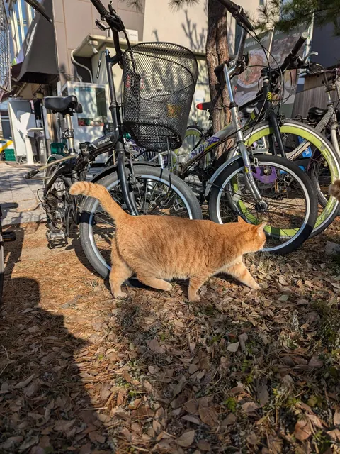 Winter in South Korea