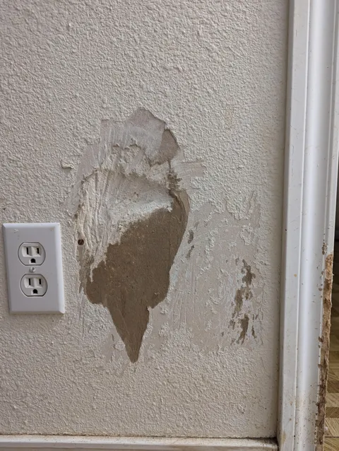 Dog licked a 1/4 inch deep hole in the wall, suggestions?