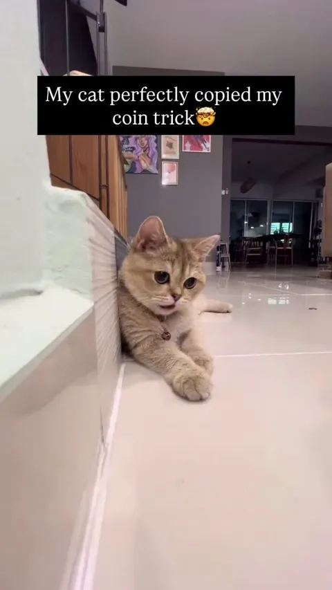 Did it better too😂💯 -- LIM JIA WEI