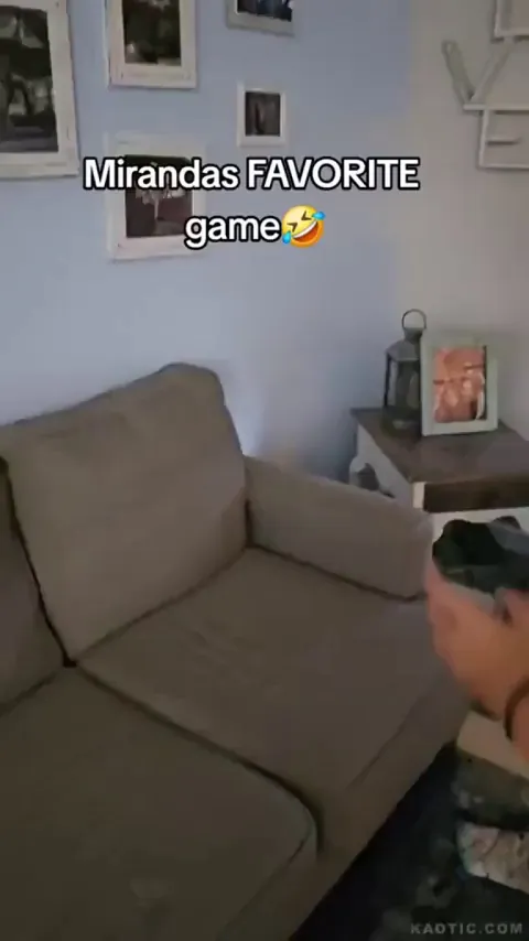 Raccoon enjoys bouncing on the couch