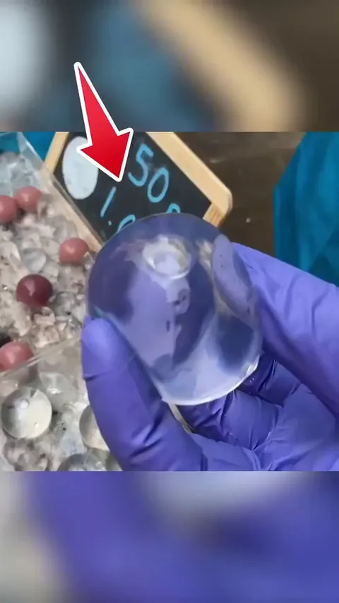 The edible water bottle