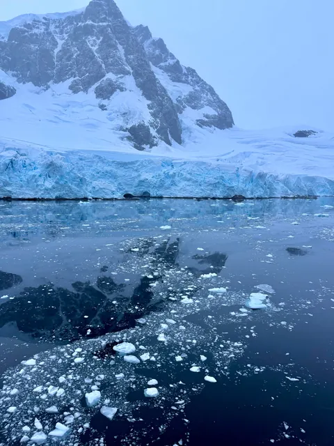 10 days in Antarctica: Wildlife, the Drake Passage and what the expedition was like [OC]