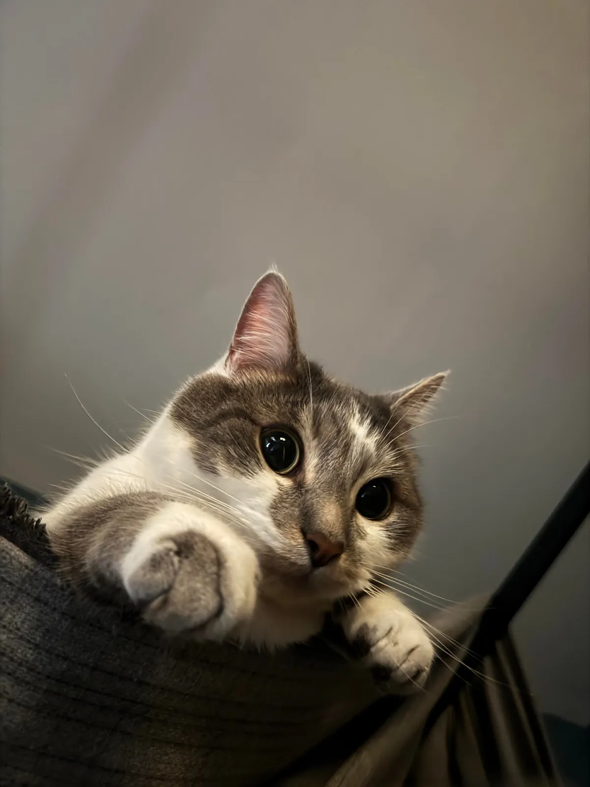 “You up yet? I’m hungry.”