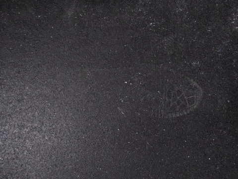 House robbed. Need help identifying shoe print.