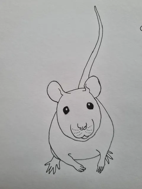 Some humorous ratty sketches