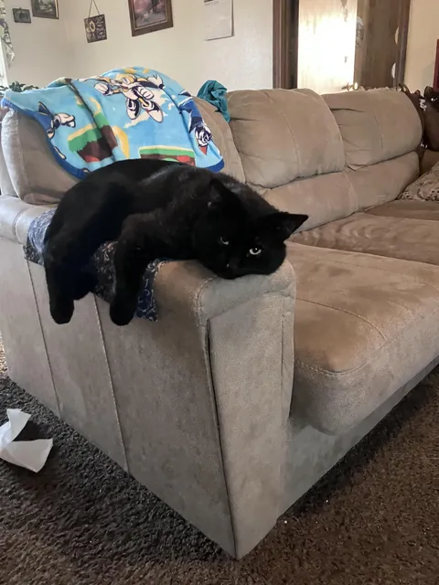 Hanging out, care to join me?