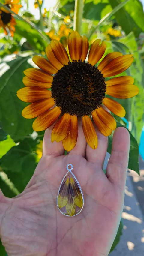 Preserving my flowers to make charms 🫶🌻💐