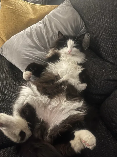 My boy after a hard day of gardening