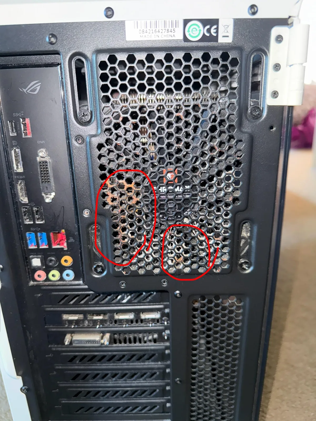 Does anyone know what these red dust looking things are and whether its okay to keep playing with them there?