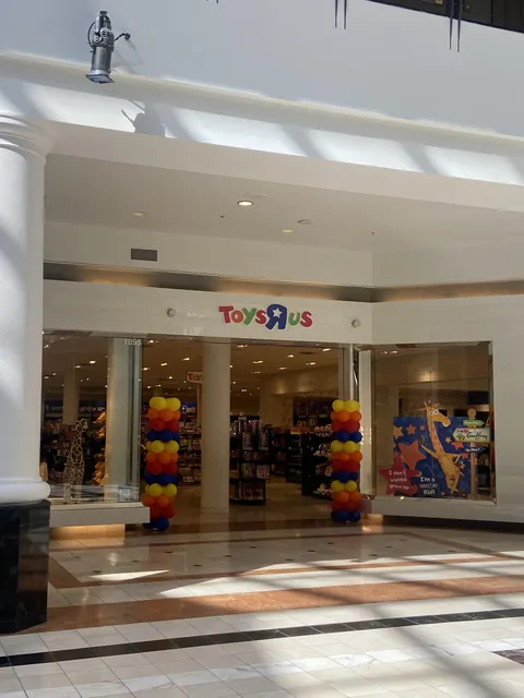 A Toys R Us just opened in the mall near me