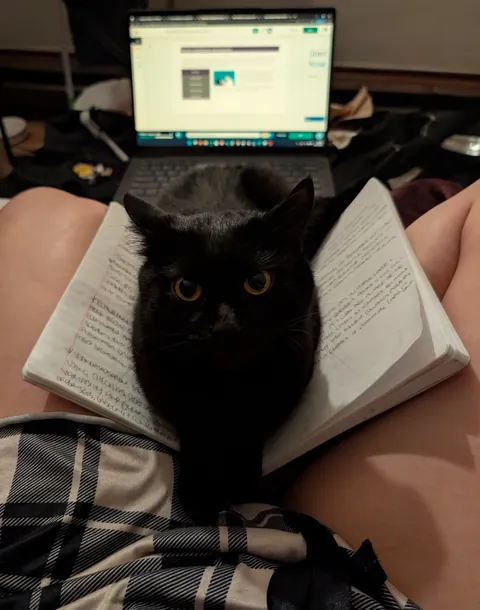 Felix: Professional Learning Disrupter