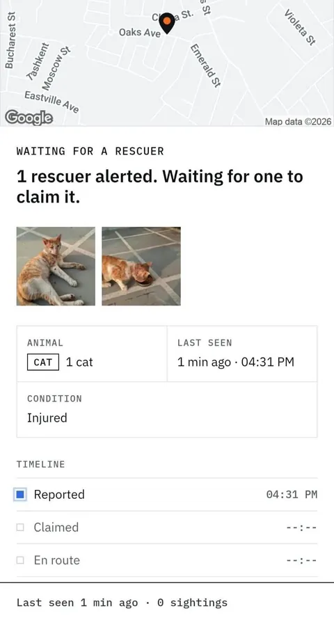 Filipino created a Grab or Lalamove but for animal rescue