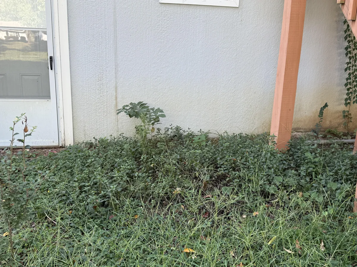 Mint: a cautionary tale