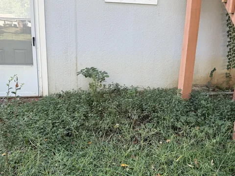 Mint: a cautionary tale