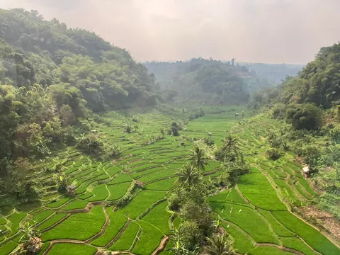 My favourite pics from 3 weeks backpacking through Indonesia last summer