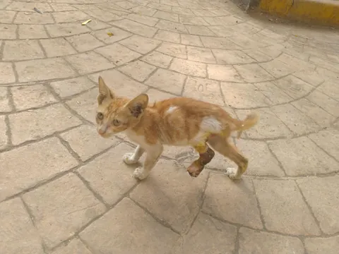 Before (in 2020) and After (in 2025)