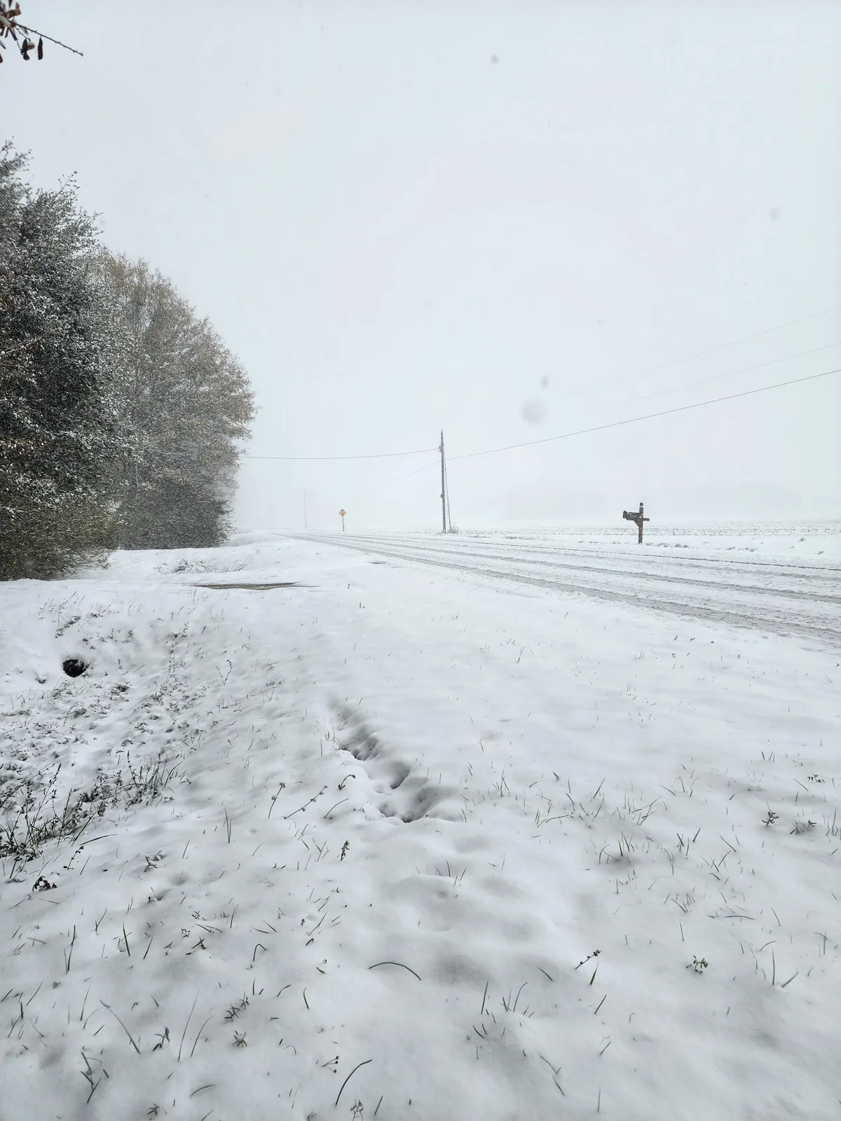 This is currently what Florida looks like.