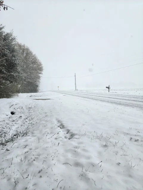 This is currently what Florida looks like.