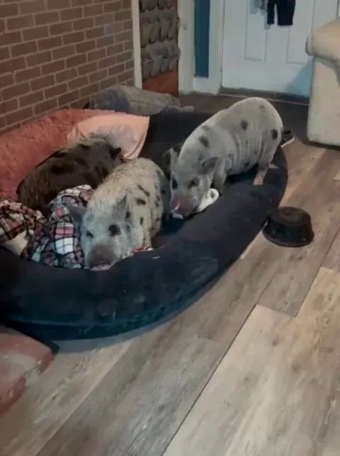 I hate when the person I sleep with hogs the entire blanket