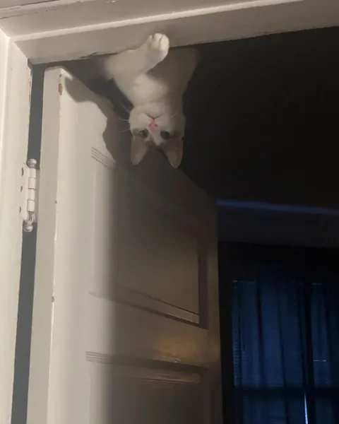 waiting to bap you in the face💀