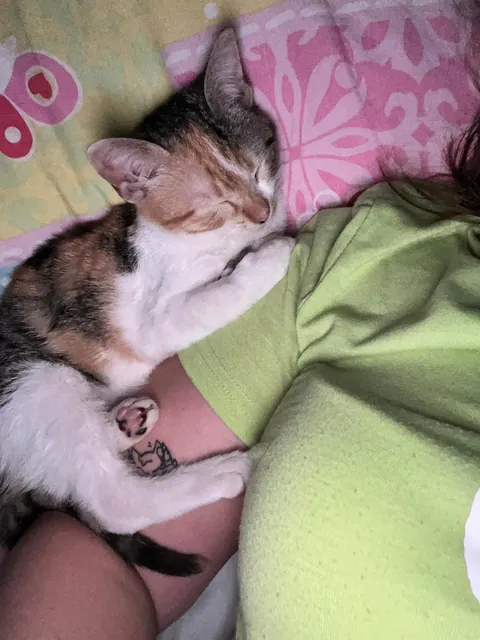 I lost my soul cat at just one year old, and I don’t know how to live with this pain