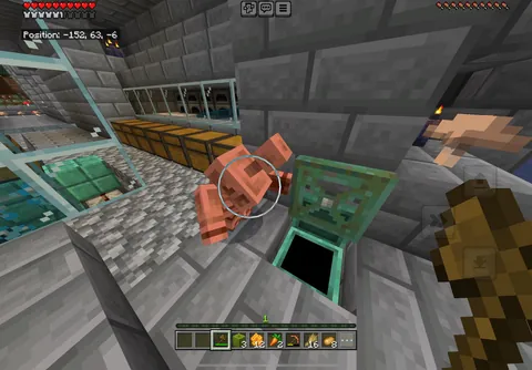 Anyone else’s copper golem not oxidizing?