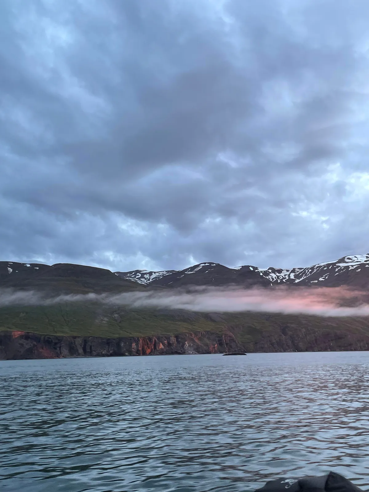 Whale Watching in the Midnight Sun in Húsavík, Iceland (June 2025)