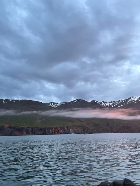 Whale Watching in the Midnight Sun in Húsavík, Iceland (June 2025)