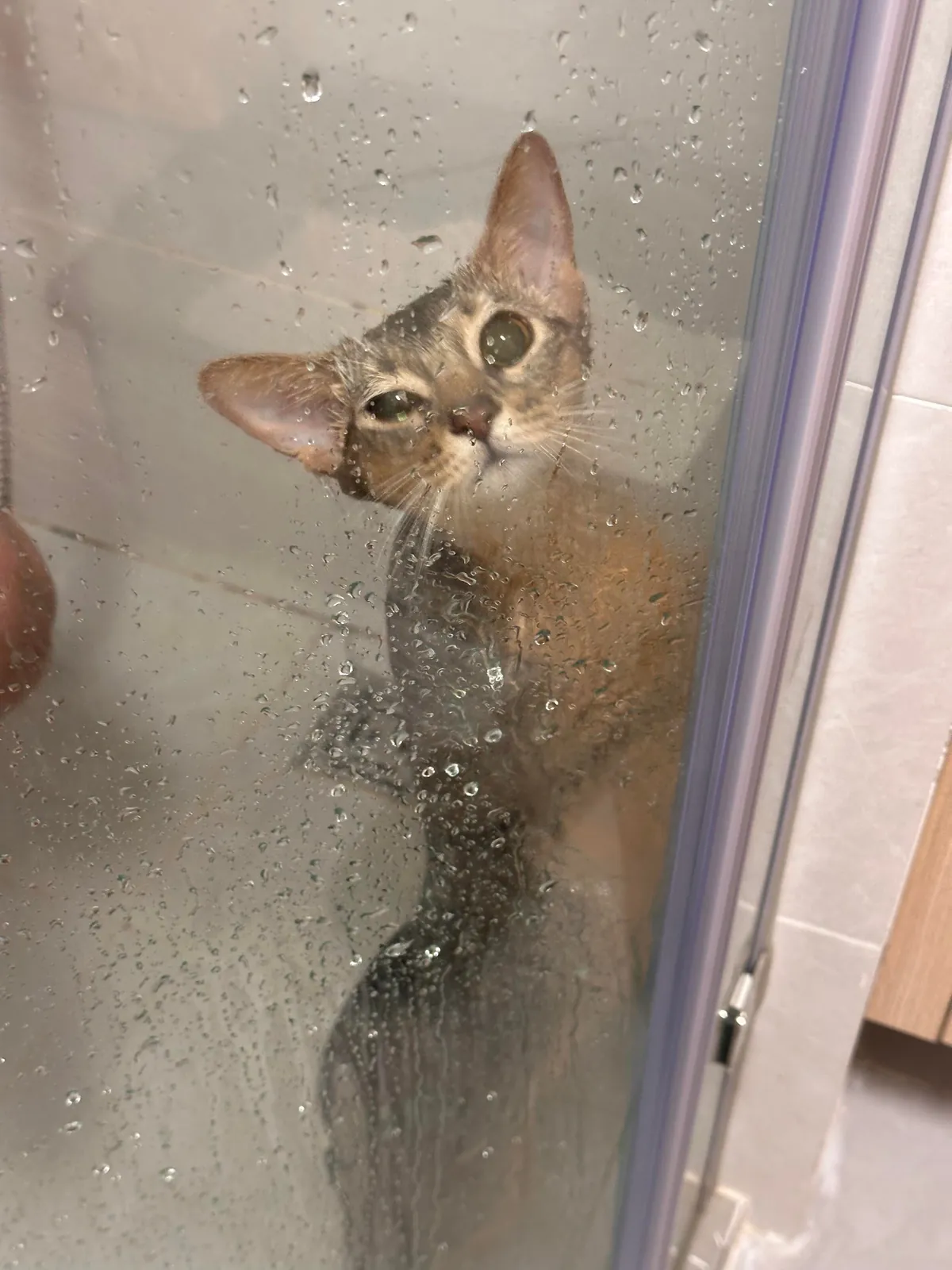 She happily told me she wanted a bath… so I granted her wish🥺