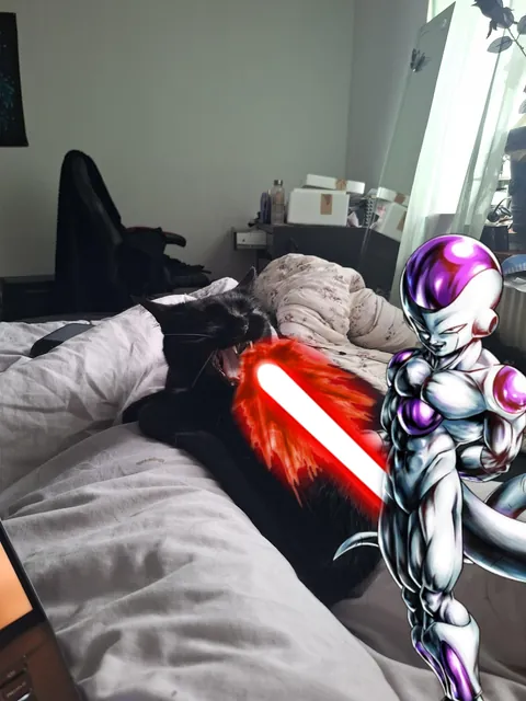 Oh hell yeah. I finally got a yawn pic💜. You know what that means...