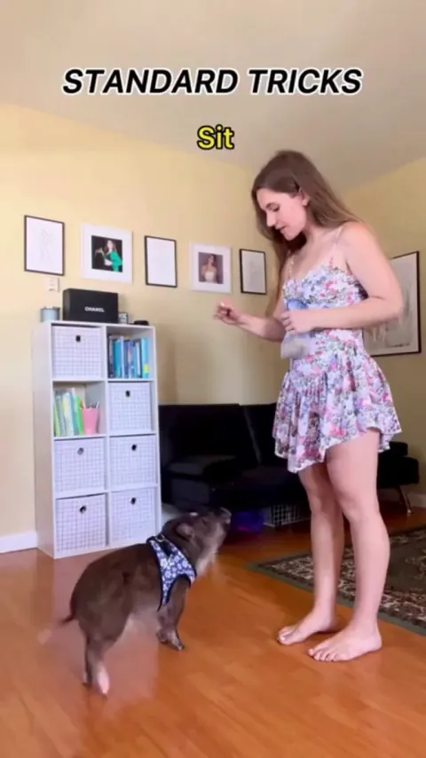 Showing off many tricks