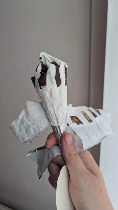 My ice cream had no cone!