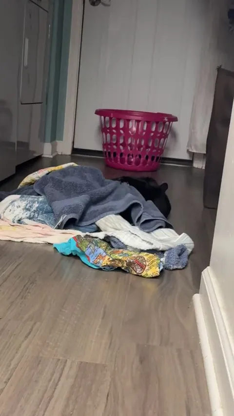 The last thing you see before he GETS YA