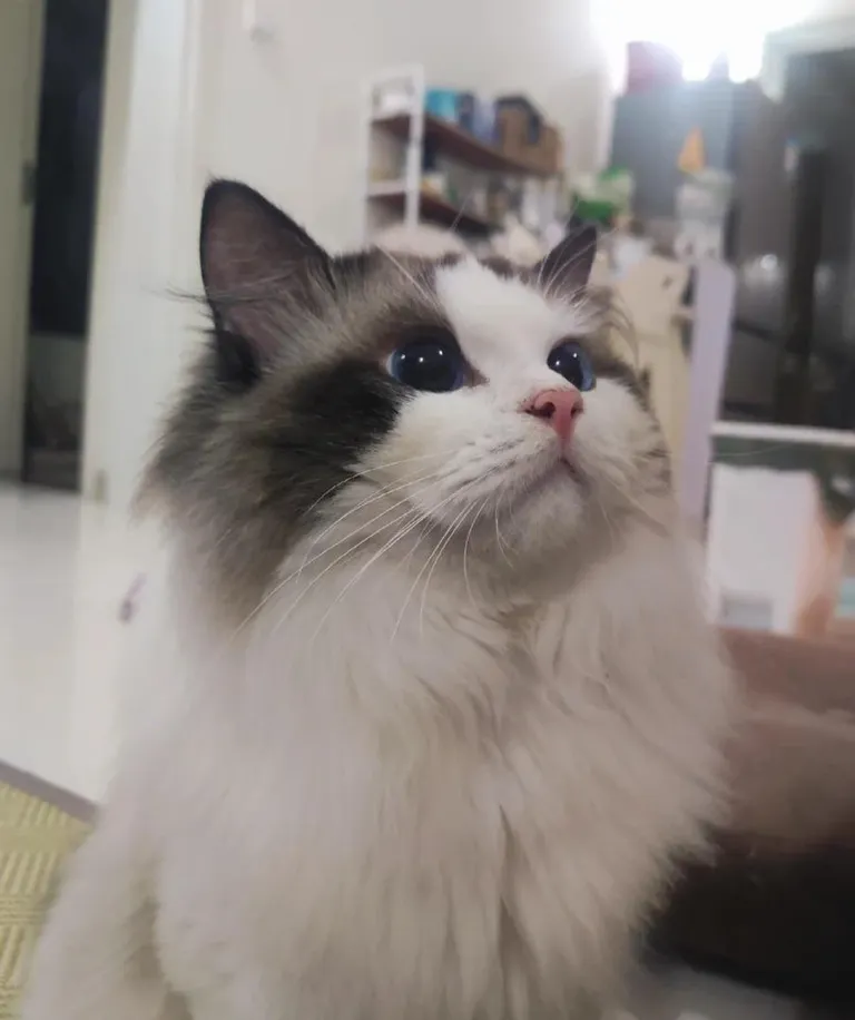 She often looks at my boyfriend with such eyes! To be honest, I'm a little jealous.