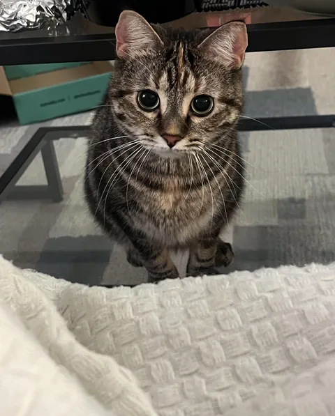 How can you say no to these eyes