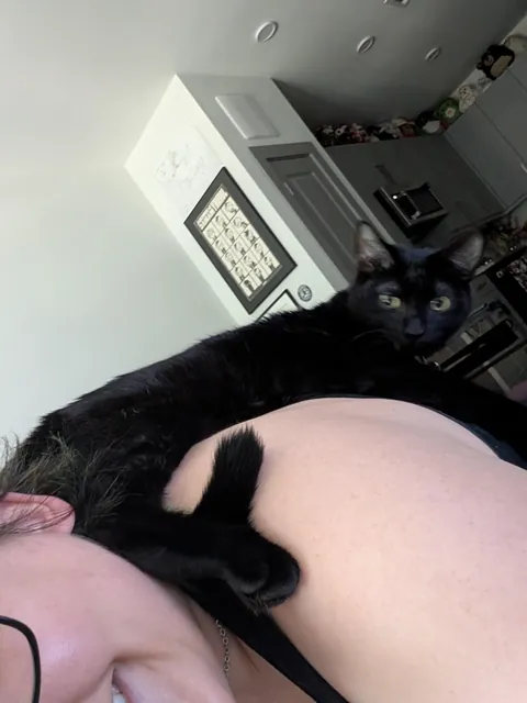 shoulder cat update: I have officially become a sentient couch