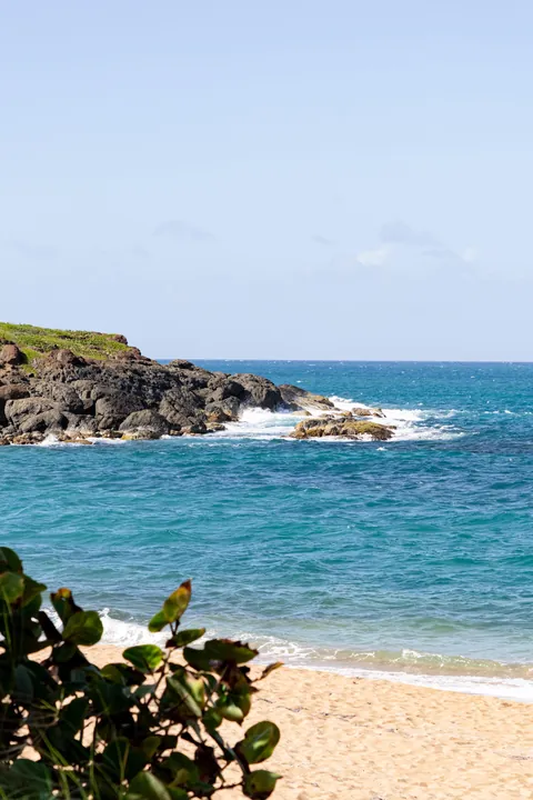 Puerto Rico Highlights from Our Family Trip 🇵🇷