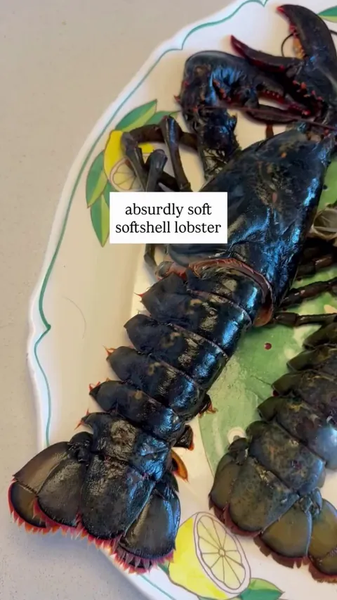 This is what happens when a lobster dies shortly after molting, the shell still remains soft.