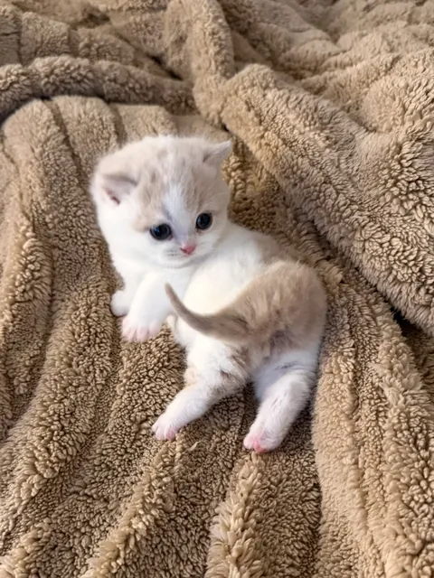 I walked through the door,and there it was, staring straight at me😳🥺