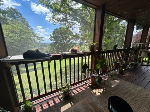 I’m often told my catio is a cozy place (swipe for nighttime pic).