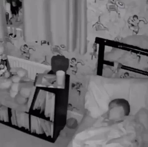 The owners couldn't figure out why the cat wasn't sleeping in it's own bed.... until they saw this