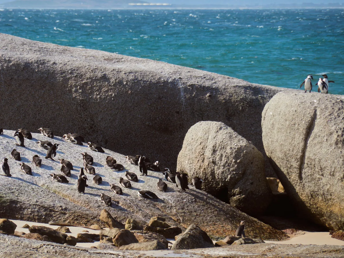 South Africa &amp; Zimbabwe