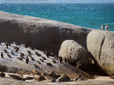 South Africa &amp; Zimbabwe