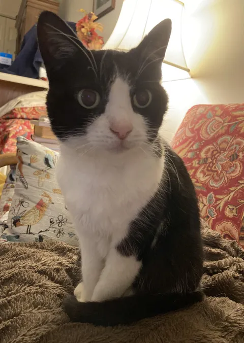 My baby girl just turned 14. 🥰