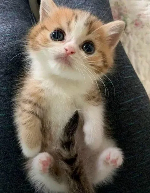 “Look at me mommy”