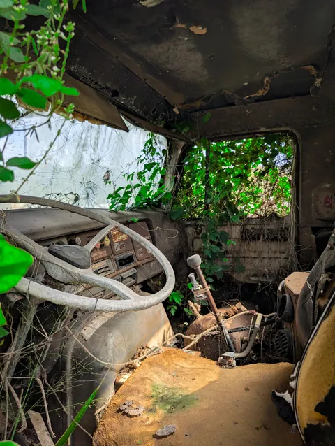 Nature creeping into an abandoned truck