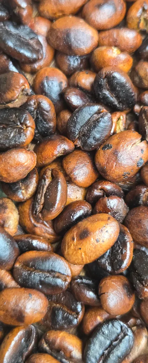 The Beauty of Tanzania