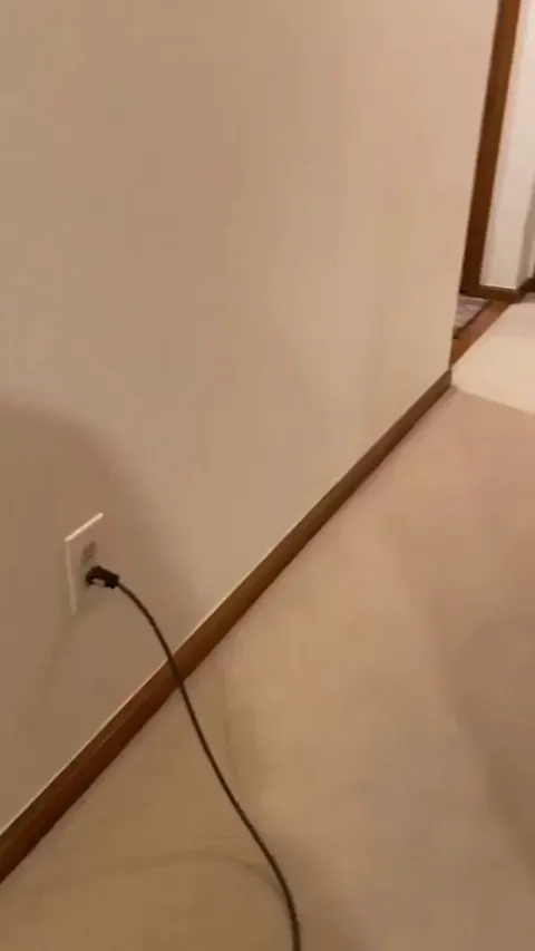 She hates the sound of a vacuum. Always ends up unplugging it haha