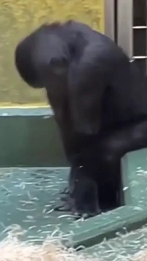 Still Better Than Cardi B